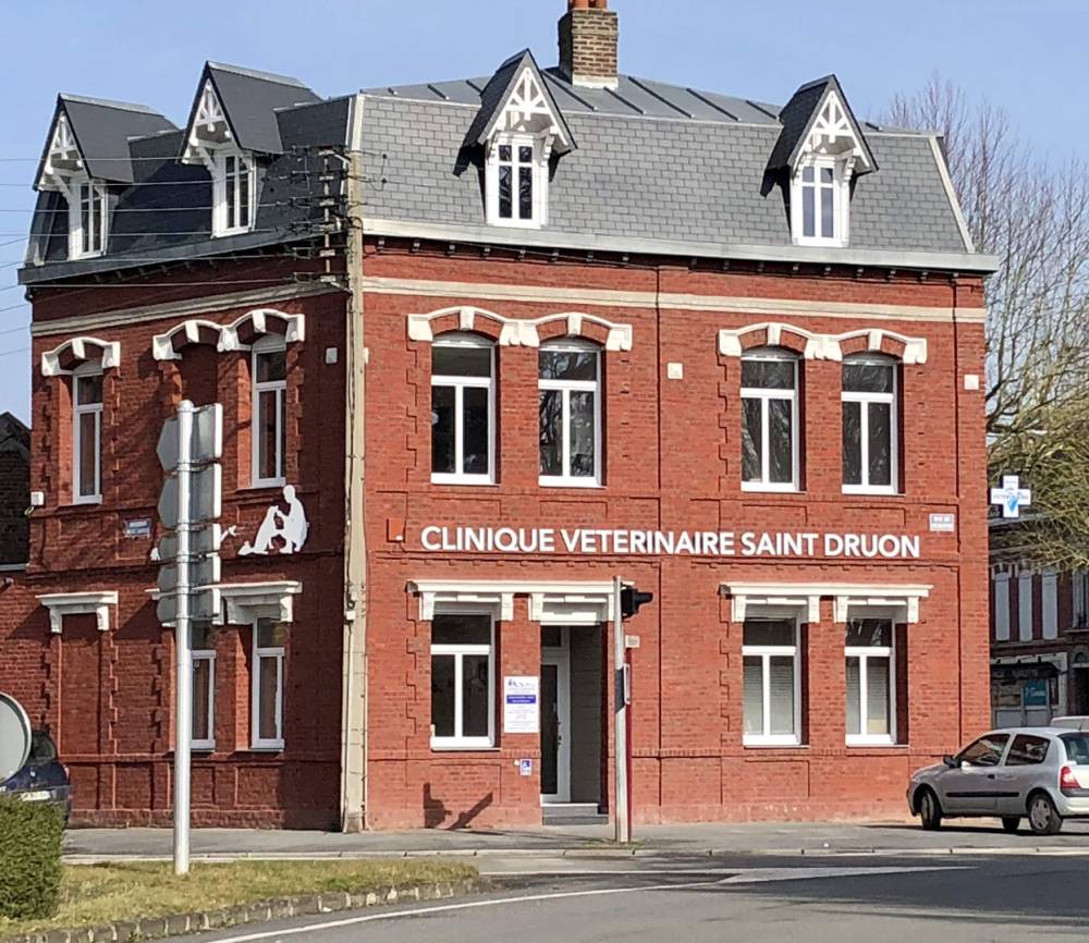 fenetre (31)