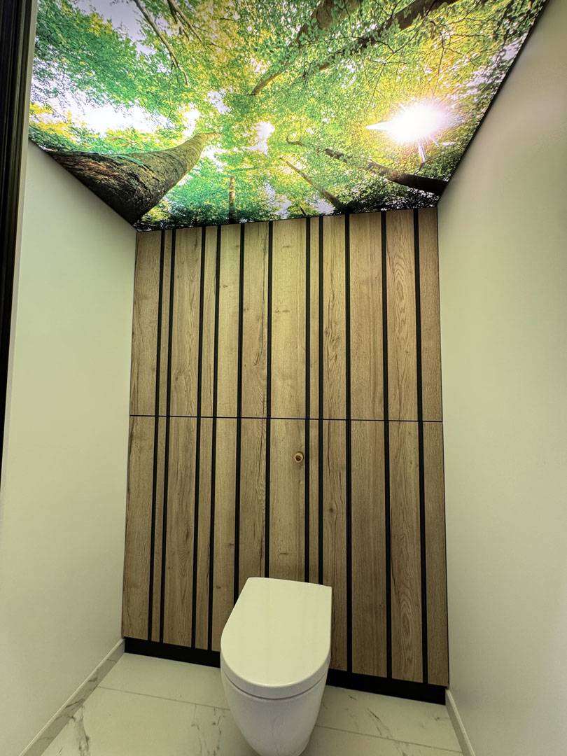 plafond (1)